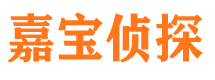 嘉陵侦探公司